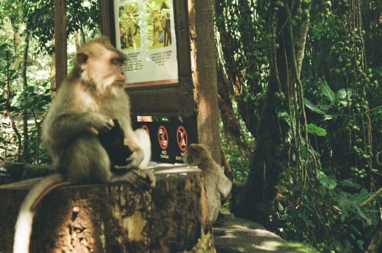 Bali, Indonesia